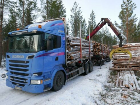 Foto: Peter Kaméus 
Bildtext
: Proffs följde med ett av Lindbergs ekipage ut i vinterskogarna i år.