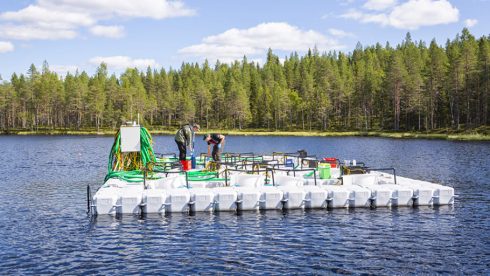 Provtagningen har skett i anslutning till så kallade mesokosmer som finns vid de tre provtagningslokalerna inom forskningsinfrastrukturen SITES. Foto: Andreas Palmén.