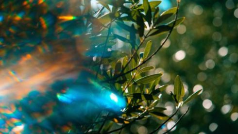 Foto: Tyler Casey, Unsplash.
